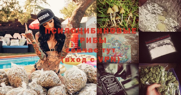 спайс Приозерск