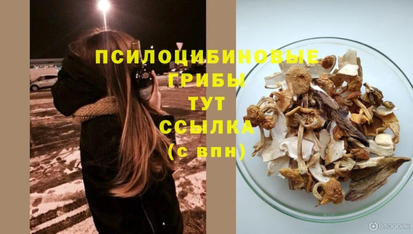 спайс Приозерск