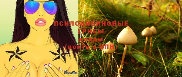спайс Приозерск