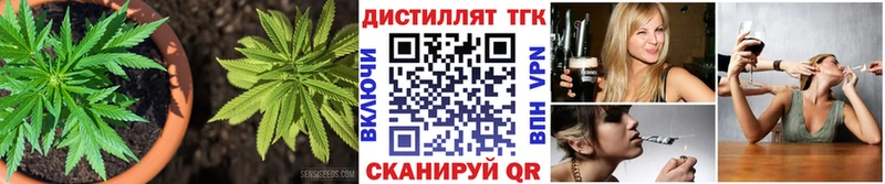 Купить  Североуральск  ТГК концентрат 